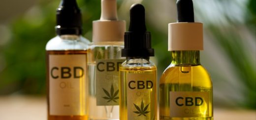 CBD : la révolution du bien-être naturel et ses nombreuses vertus à découvrir
