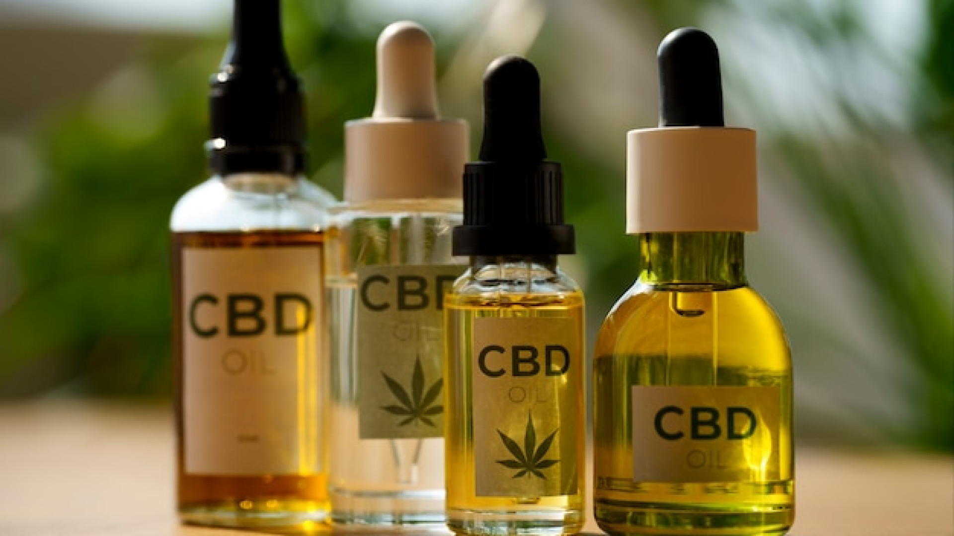 CBD : la révolution du bien-être naturel et ses nombreuses vertus à découvrir