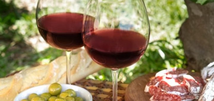 Le vin bolgheri : un voyage au cœur des vignobles de la toscane