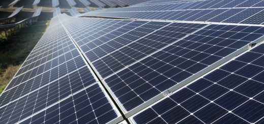 Centrale photovoltaïque de 100 kWc : ce que les professionnels doivent savoir avant de se lancer